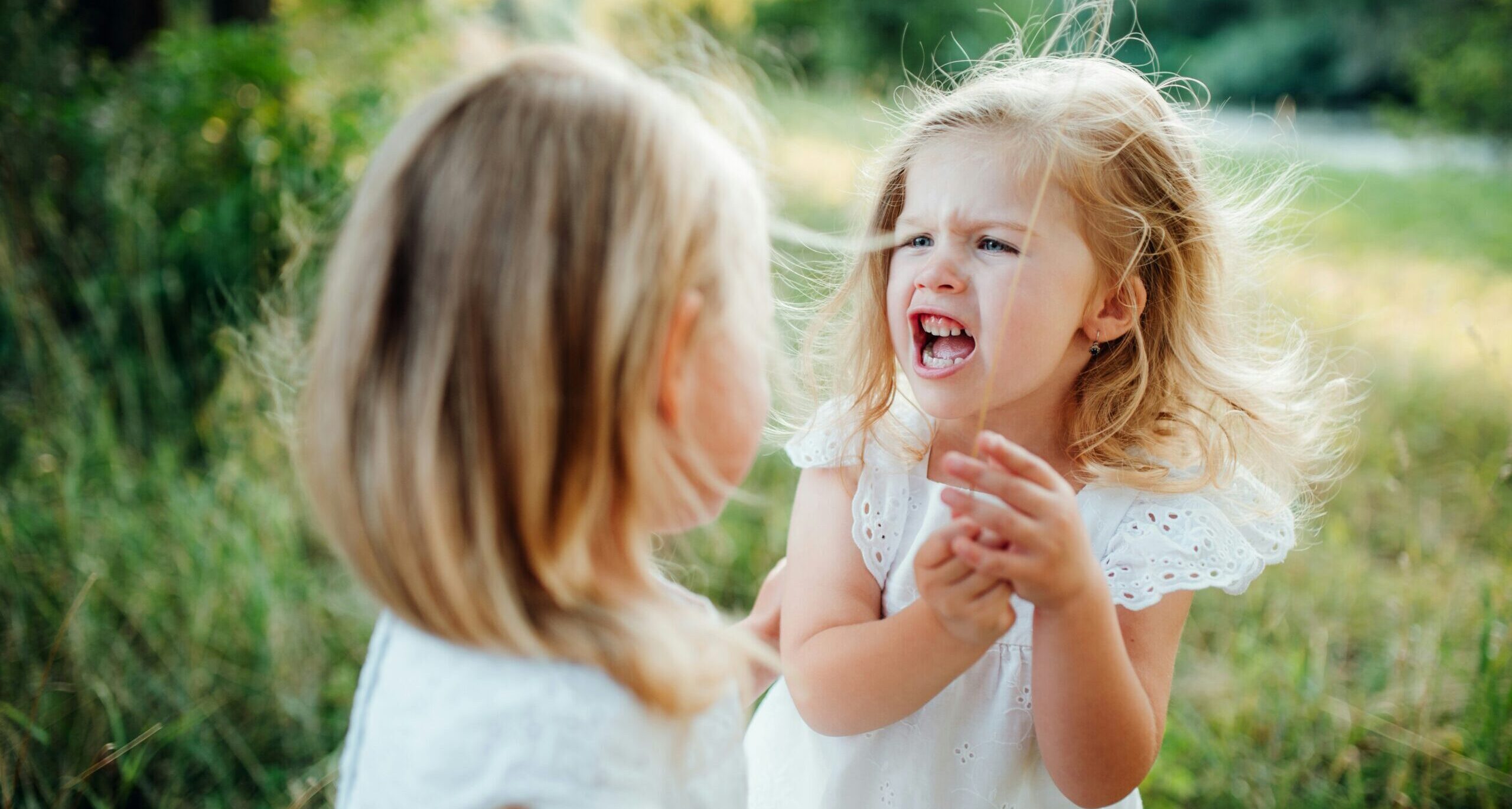 The Popular Myth about Dislikes and Insecurities