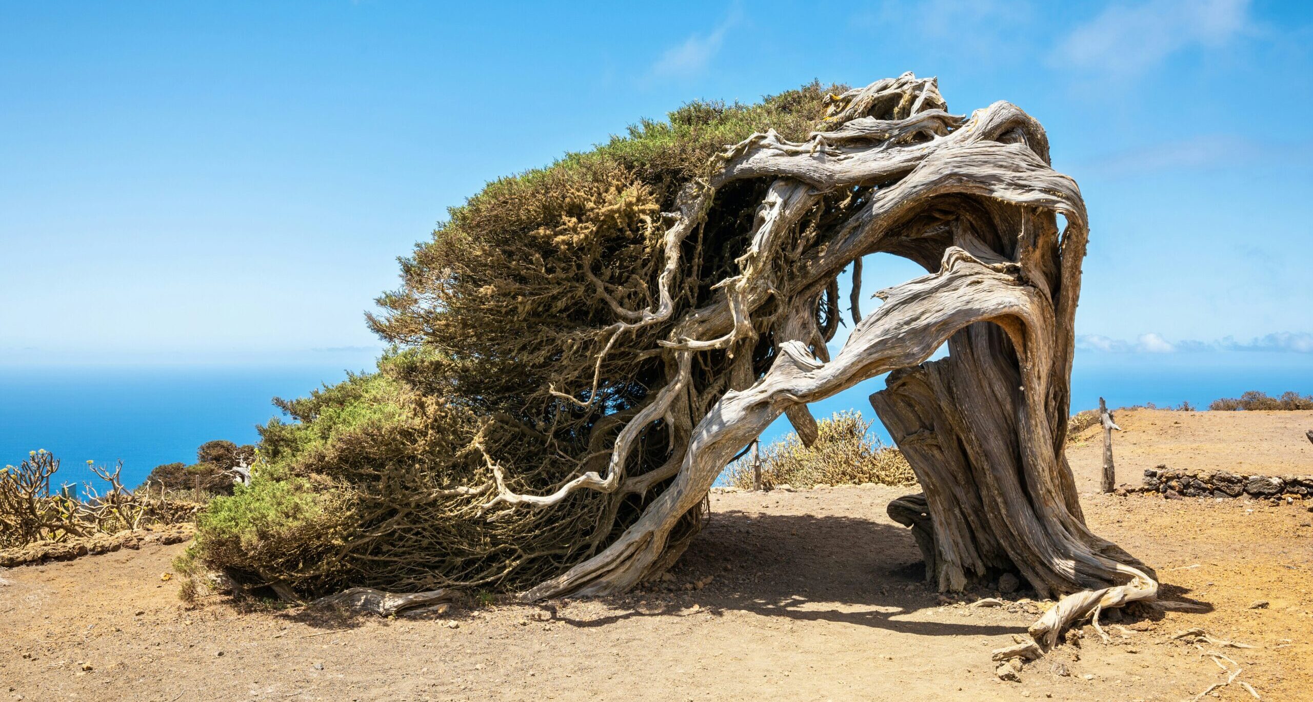 5 Common Logical Fallacies That Prevent You From Growth