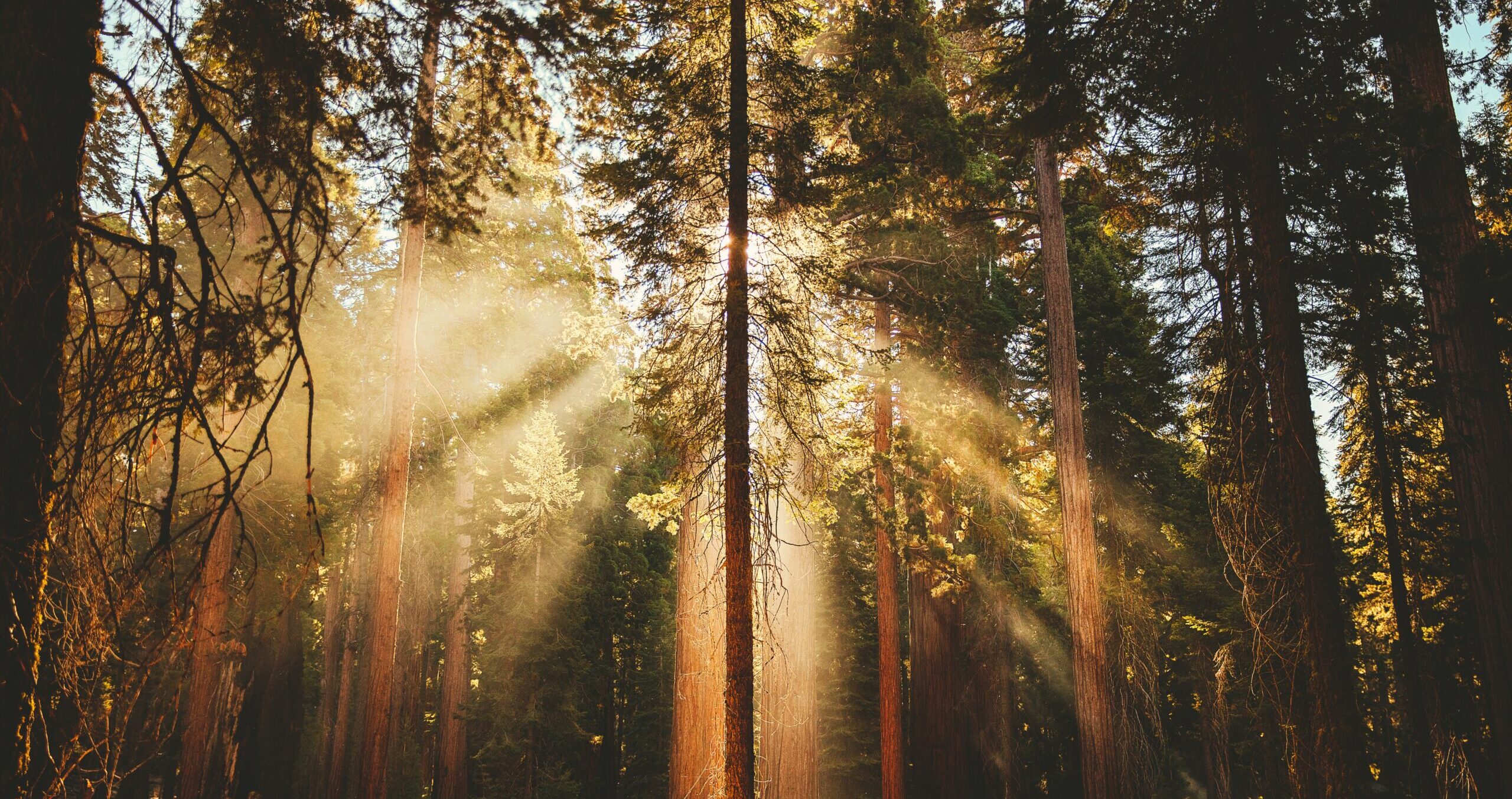 Those Important Life Lessons Trauma Teaches Us