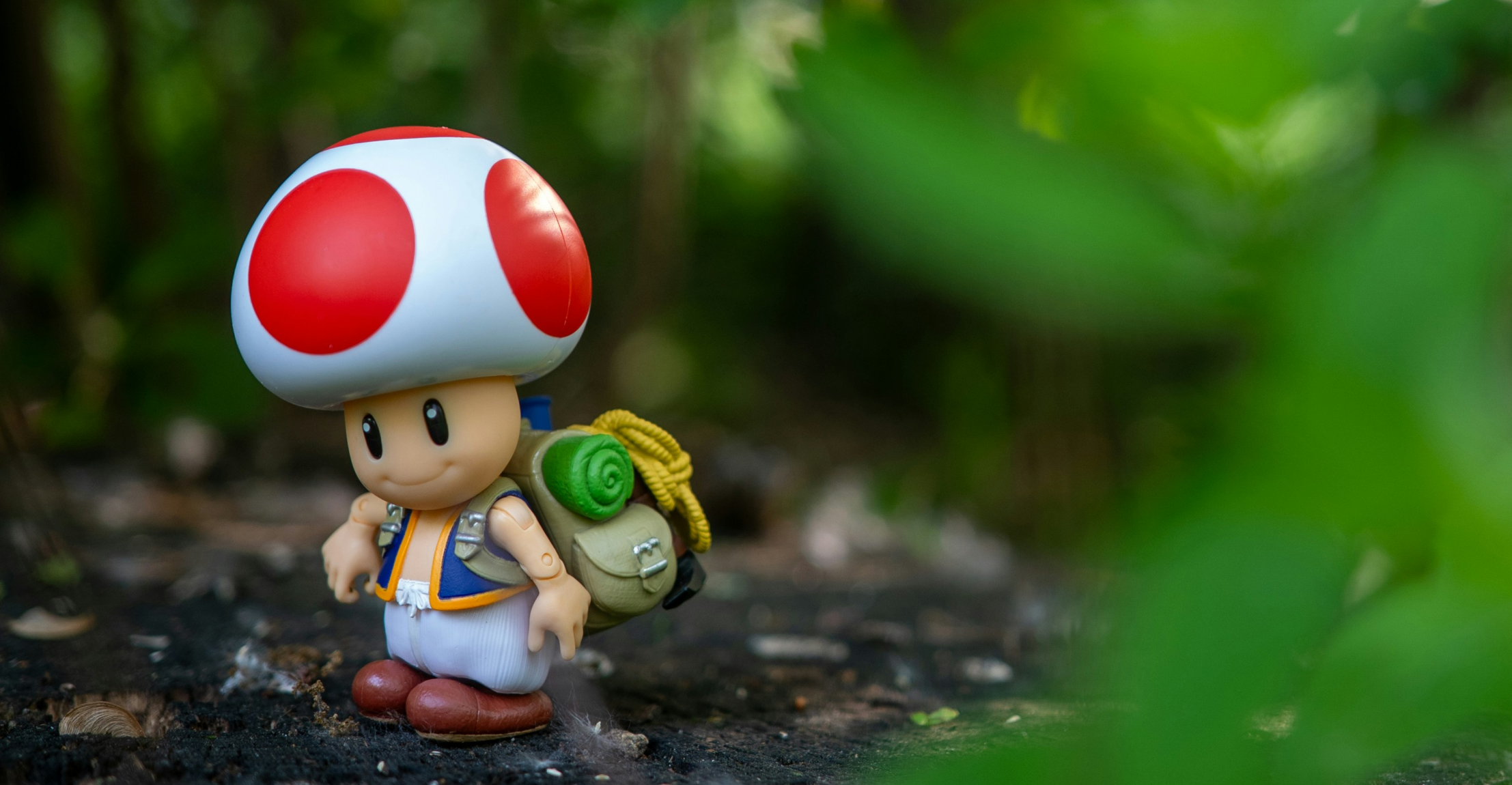 Stop Worrying about Reputation; Focus on Characters Instead